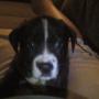 John Kersey Photo 12