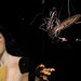Shawn Freeman Photo 15