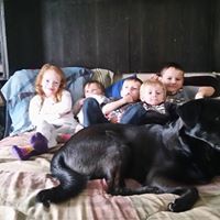 Martin Bowers Photo 23