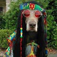 Melanie Greene Photo 9