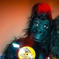 Shaun Fitzpatrick Photo 33