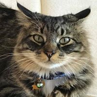 Kelly Vernon Photo 10