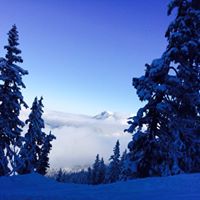 Connie Sherrill Photo 10