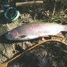 Steve Hendrickson Photo 3