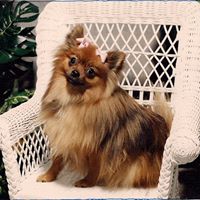 Lydia Booker Photo 5