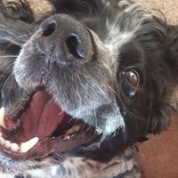 Frankie Mills Photo 22