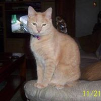 Linda Spaulding Photo 32