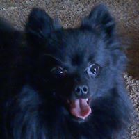 Steven Roland Photo 14