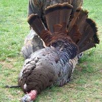 Richard Elmore Photo 16