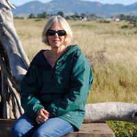 Dawn Carlson Photo 18