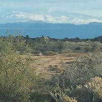 Roberta Henning Photo 3