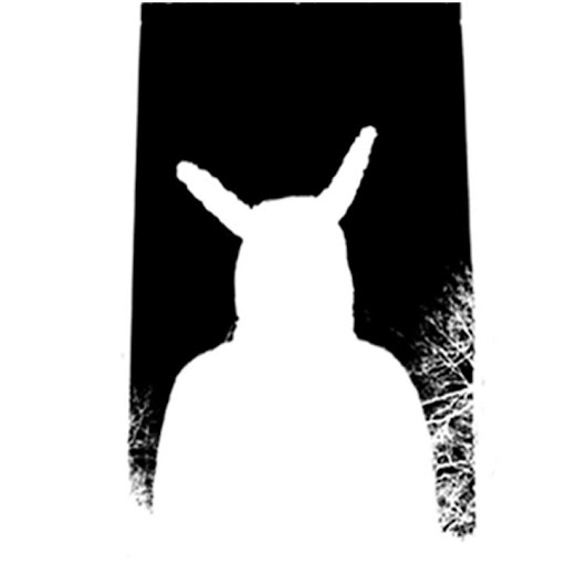 Scott Dillon Photo 26