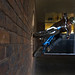 Dave Marshall Photo 9