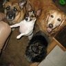 Susan Kline Photo 31