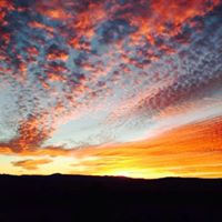 Daniel Gallacher Photo 7