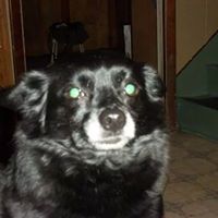 Deborah Vanzant Photo 5