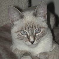 Kathy Fields Photo 15