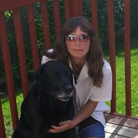 Mark Shelley Photo 16 Mark Shelley Photo 16