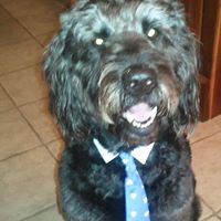 Theodore Murphy Photo 14