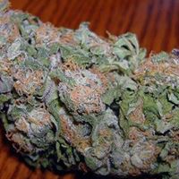 Joe Houston Photo 34