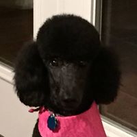 Cindy Burdick Photo 12