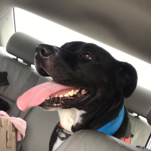 Megan Carpenter Photo 12