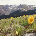 Daisy Daniel Photo 15