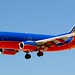Ron Chapman Photo 7