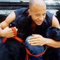 Robin Angulo Photo 4