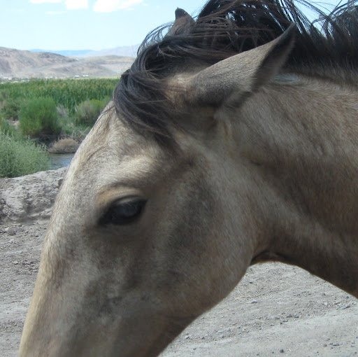 Ruth Mason Photo 5 Ruth Mason Photo 5