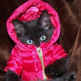 Christal Parrish Photo 5