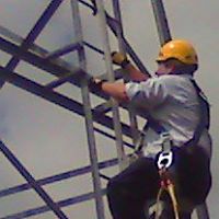 Robert Kitson Photo 26