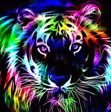 Sandra Wheeler Photo 20