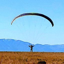 David Conaway Photo 28