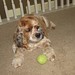 Karen Mccarty Photo 14