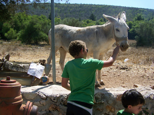 Joshua Jansen Photo 27