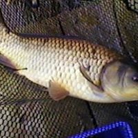 Brian Jameson Photo 23