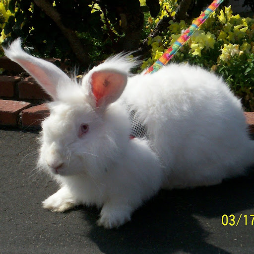 Brian Sheahan Photo 23