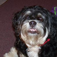 Betty Pope Photo 7