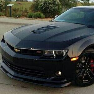 Tracey Chandler Photo 7