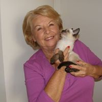 Priscilla Labbe Photo 3