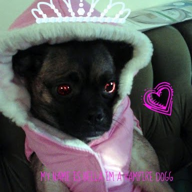 Renee Buchanan Photo 18