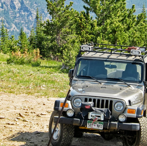 Suzanne Matthews Photo 17