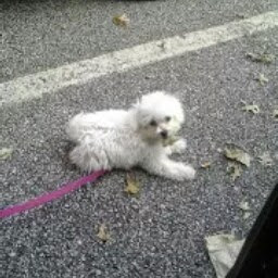 Cindy Palmer Photo 14