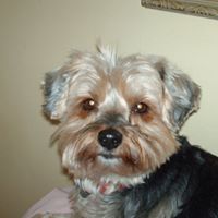 Katharine Elliott Photo 12