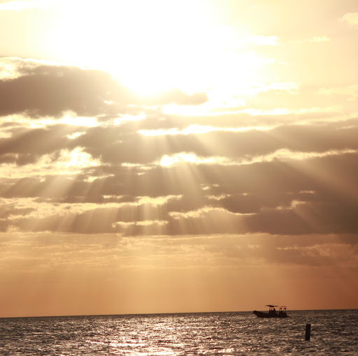 Robyn Johnson Photo 41 Robyn Johnson Photo 41