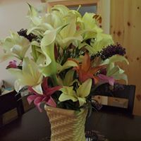 Debbie Sauer Photo 11