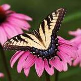 Rosemarie Smith Photo 21