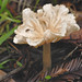 Samuel Taylor Photo 48