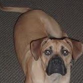 Sam Riddick Photo 3
